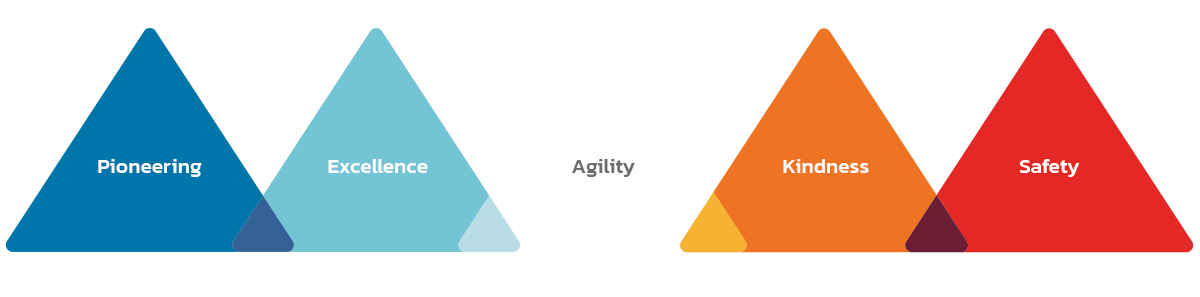 PEAKS Values